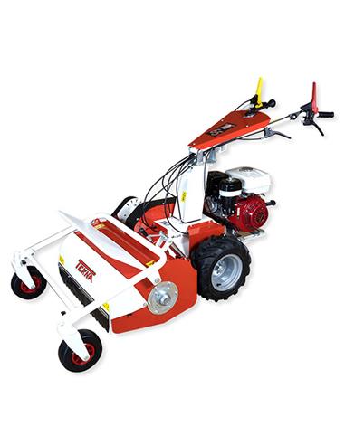 TT 65