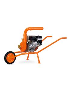 MBD 15 HCEC