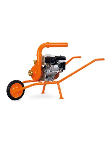MBD 15 HCEC